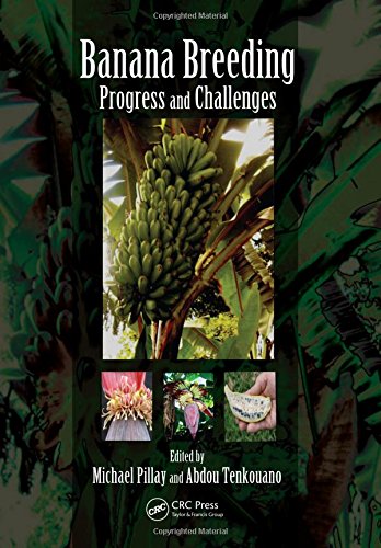 Banana Breeding ebook