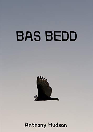 Bas bedd (Welsh Edition) ebook