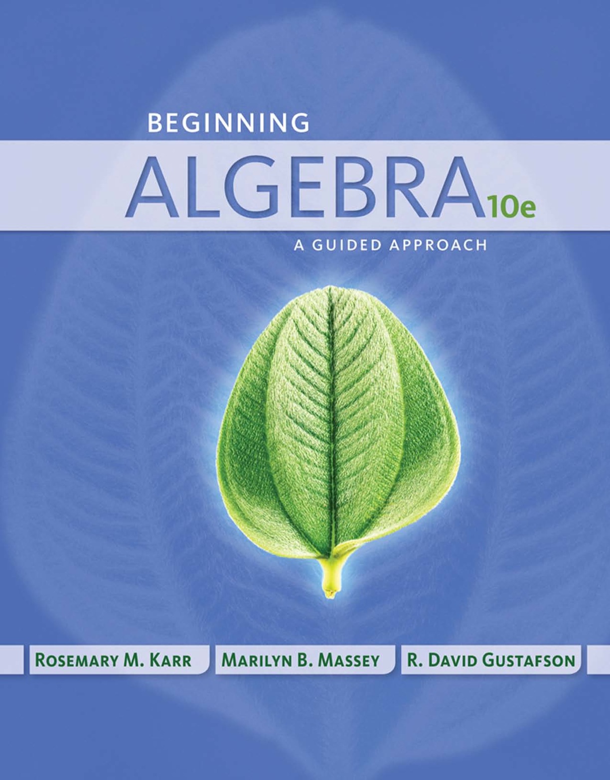 Beginning Algebra: A Guided Approach ebook