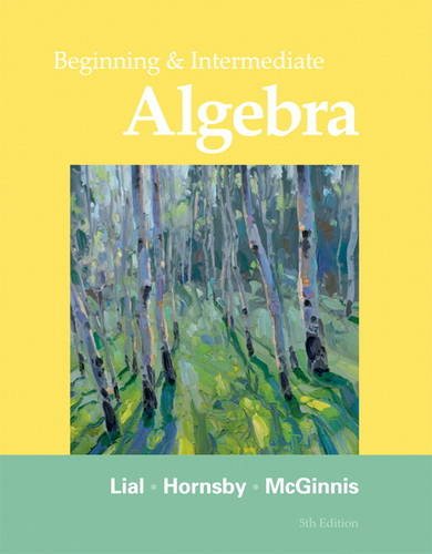 Beginning and Intermediate Algebra ebook