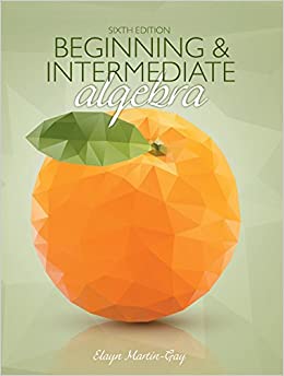 Beginning & Intermediate Algebra ebook