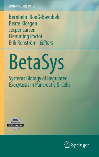 BetaSys ebook