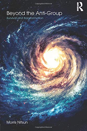 Beyond the Anti-Group ebook