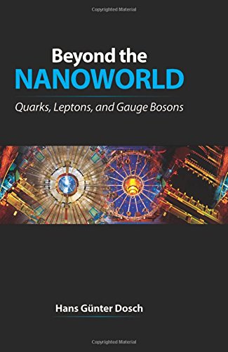 Beyond the Nanoworld ebook