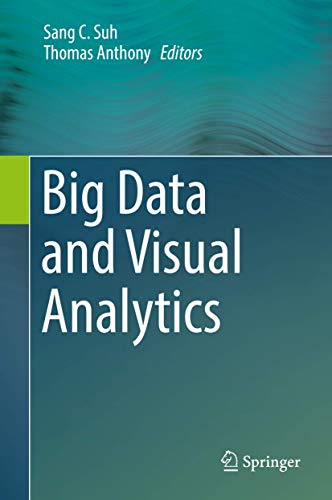 Big Data and Visual Analytics ebook