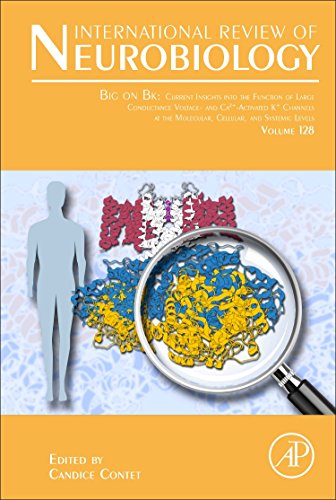 Big on Bk: Current Insights into the Function of Large Conductance Voltage- and Ca2+- Activated K+ Channels at the Molecular, Cellular and Systemic Levels ebook