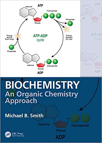 Biochemistry: An Organic Chemistry Approach ebook