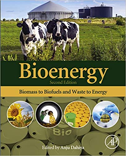 Bioenergy: Biomass to Biofuels and Waste to Energy ebook