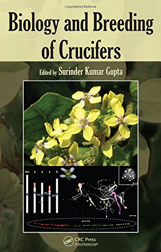 Biology and Breeding of Crucifers ebook