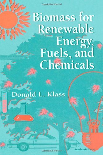 Biomass for Renewable Energy, Fuels, and Chemicals ebook