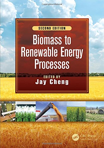 Biomass to Renewable Energy Processes, Second Edition ebook