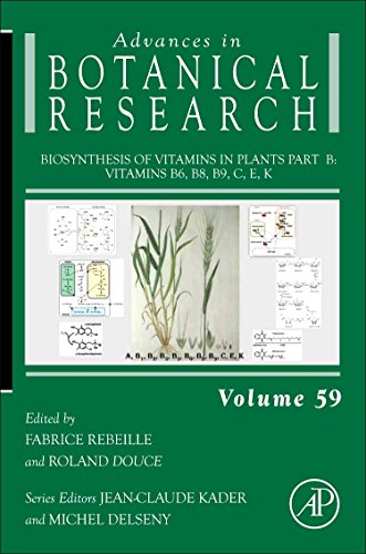 Biosynthesis of Vitamins in Plants Part B: Vitamins B6, B8, B9, C, E, K ebook