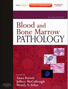 Blood and Bone Marrow Pathology Expert Consult Online and Print 2nd Edition by Anna Porwit ebook