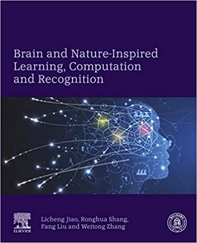 Brain and Nature-Inspired Learning, Computation and Recognition ebook