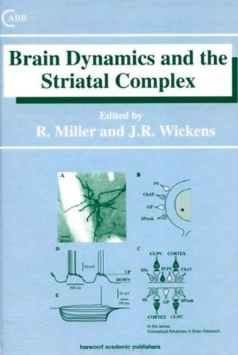 Brain Dynamics and the Striatal Complex ebook