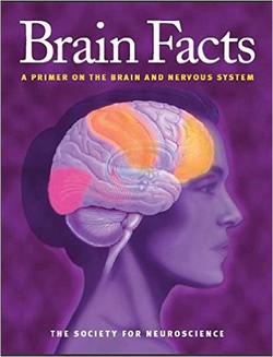 Brain Facts: A Primer on the Brain and Nervous System ebook