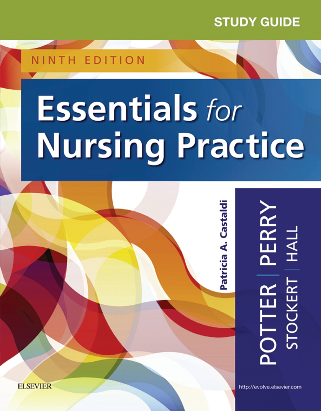 Study Guide for Essentials for Nursing Practice ebook