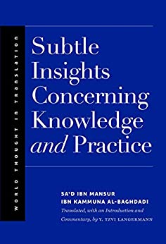 Subtle Insights Concerning Knowledge and Practice (World Thought in Translation) ebook