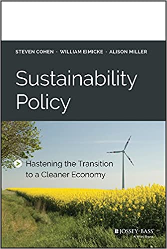 Sustainability Policy: Hastening the Transition to a Cleaner Economy ebook