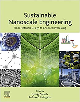 Sustainable Nanoscale Engineering: From Materials Design to Chemical Processing ebook