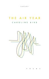 The Air Year ebook