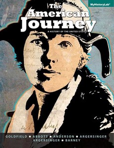 The American Journey A History of the United States Volume 2 (Since 1965) 7th edition ebook
