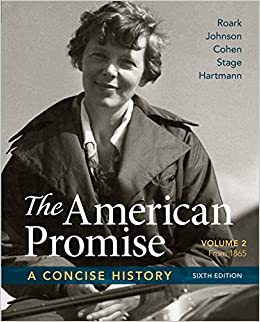 The American Promise: A Concise History, Volume 2 ebook