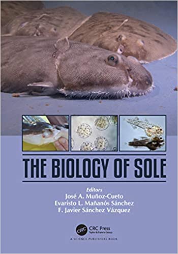 The Biology of Sole ebook