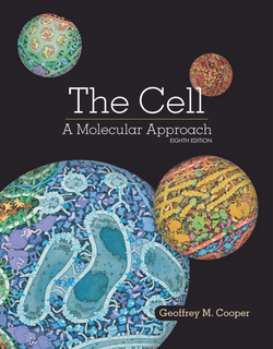 The Cell A Molecular Approach 8th by Geoffrey M. Cooper ebook
