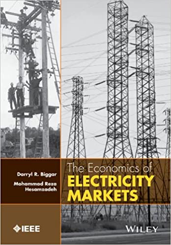 The Economics of Electricity Markets (Wiley - IEEE) ebook