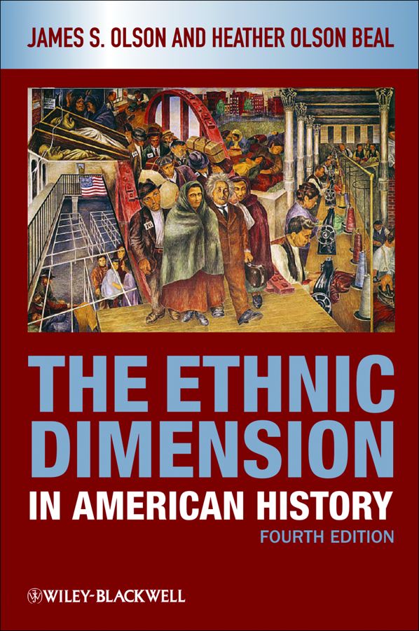 The Ethnic Dimension in American History ebook