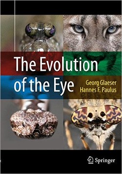 The Evolution of the Eye ebook