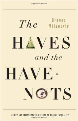 The Haves and the Have-Nots: A Brief and Idiosyncratic History of Global Inequality ebook