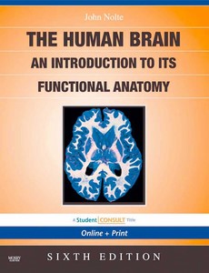 The Human Brain An Introduction to Its Functional Anatomy, 6th Edition by John Nolte ebook