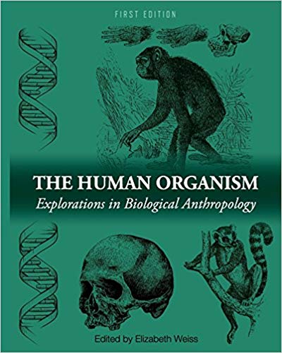 The Human Organism: Explorations in Biological Anthropology ? ebook
