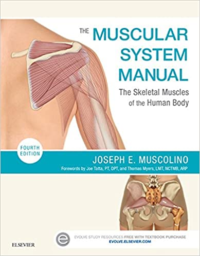 The Muscular System Manual: The Skeletal Muscles of the Human Body ebook