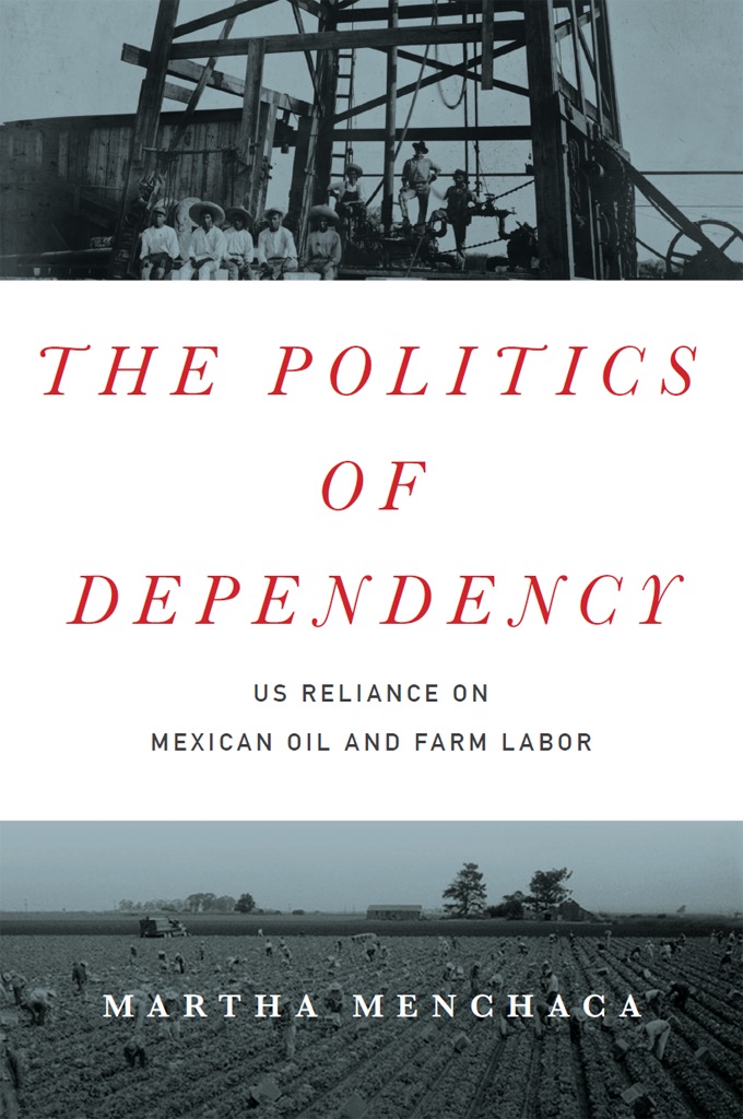 The Politics of Dependency ebook
