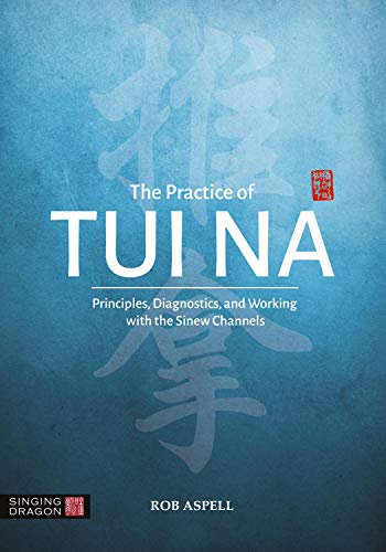 The Practice of Tui Na: Principles, Diagnostics and Working with the Sinew Channels ebook