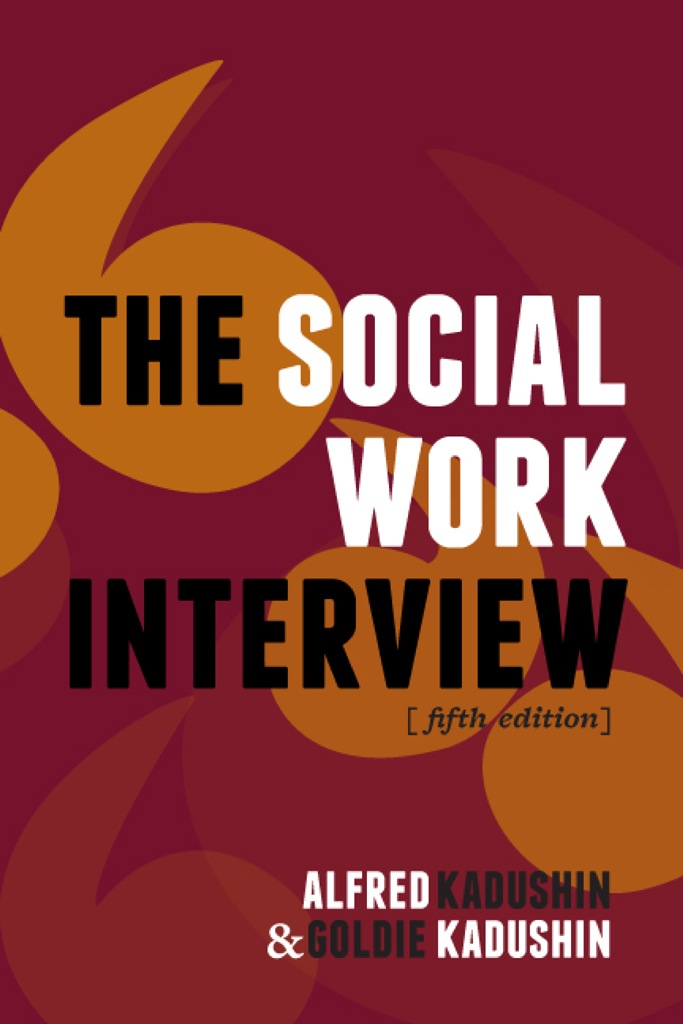 The Social Work Interview ebook