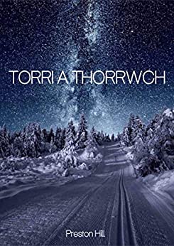 Torri a thorrwch (Welsh Edition) ebook