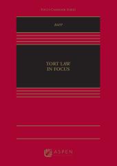 Tort Law in Focus ebook