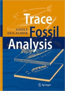 Trace Fossil Analysis ebook