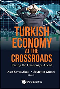 Turkish Economy At The Crossroads: Facing The Challenges Ahead ebook
