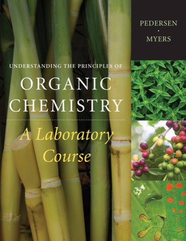 Understanding the Principles of Organic Chemistry: A Laboratory Course, Reprint ebook