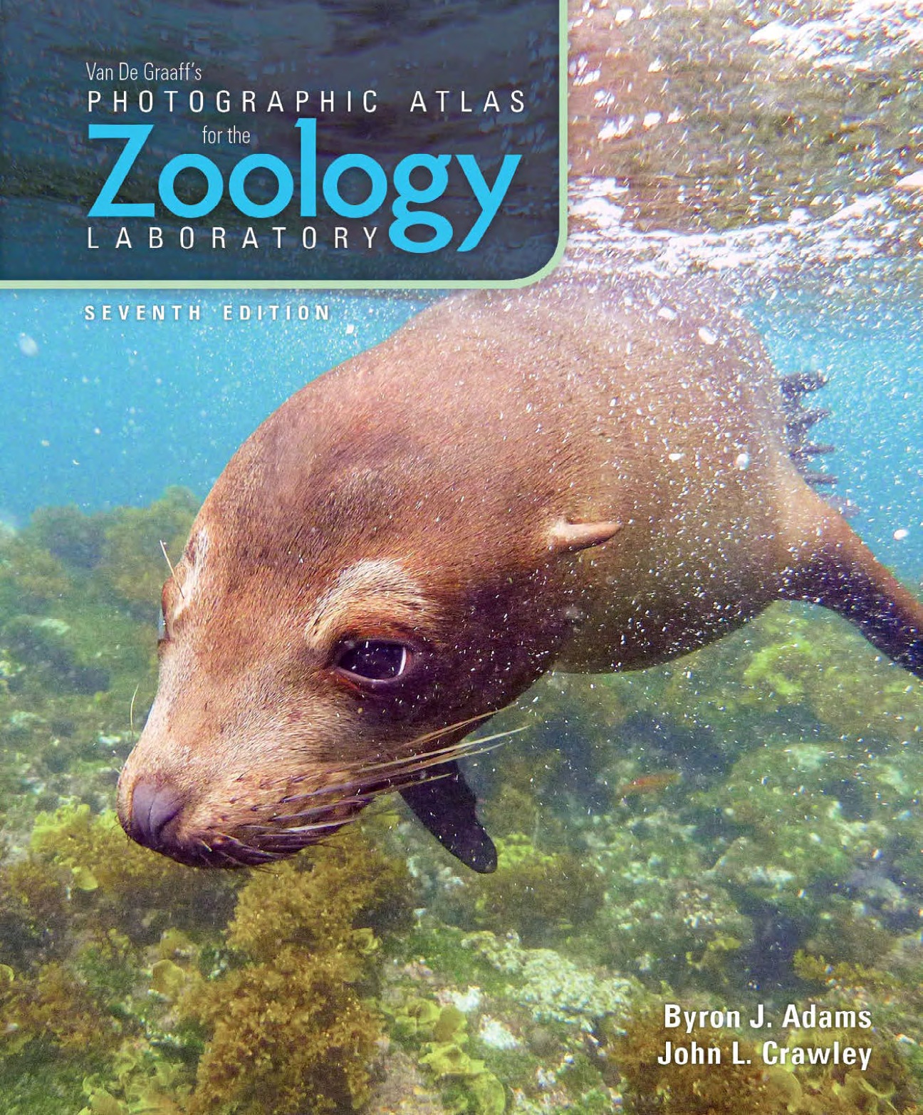 Van De Graaff's Photographic Atlas for the Zoology Laboratory ebook