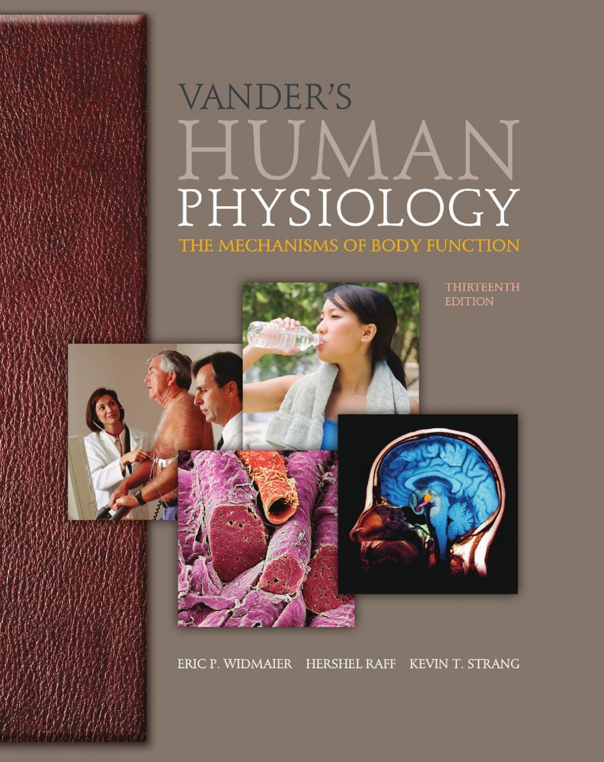 Vander's Human Physiology The Mechanisms of Body Function 13th Edition by Widmaier ebook