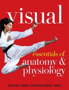 Visual Essentials of Anatomy & Physiology by Frederic H. Martini ebook