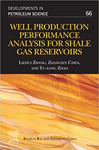Well Production Performance Analysis for Shale Gas Reservoirs (ISSN Book 66) ebook