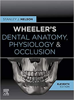 Wheeler's Dental Anatomy, Physiology and Occlusion ebook