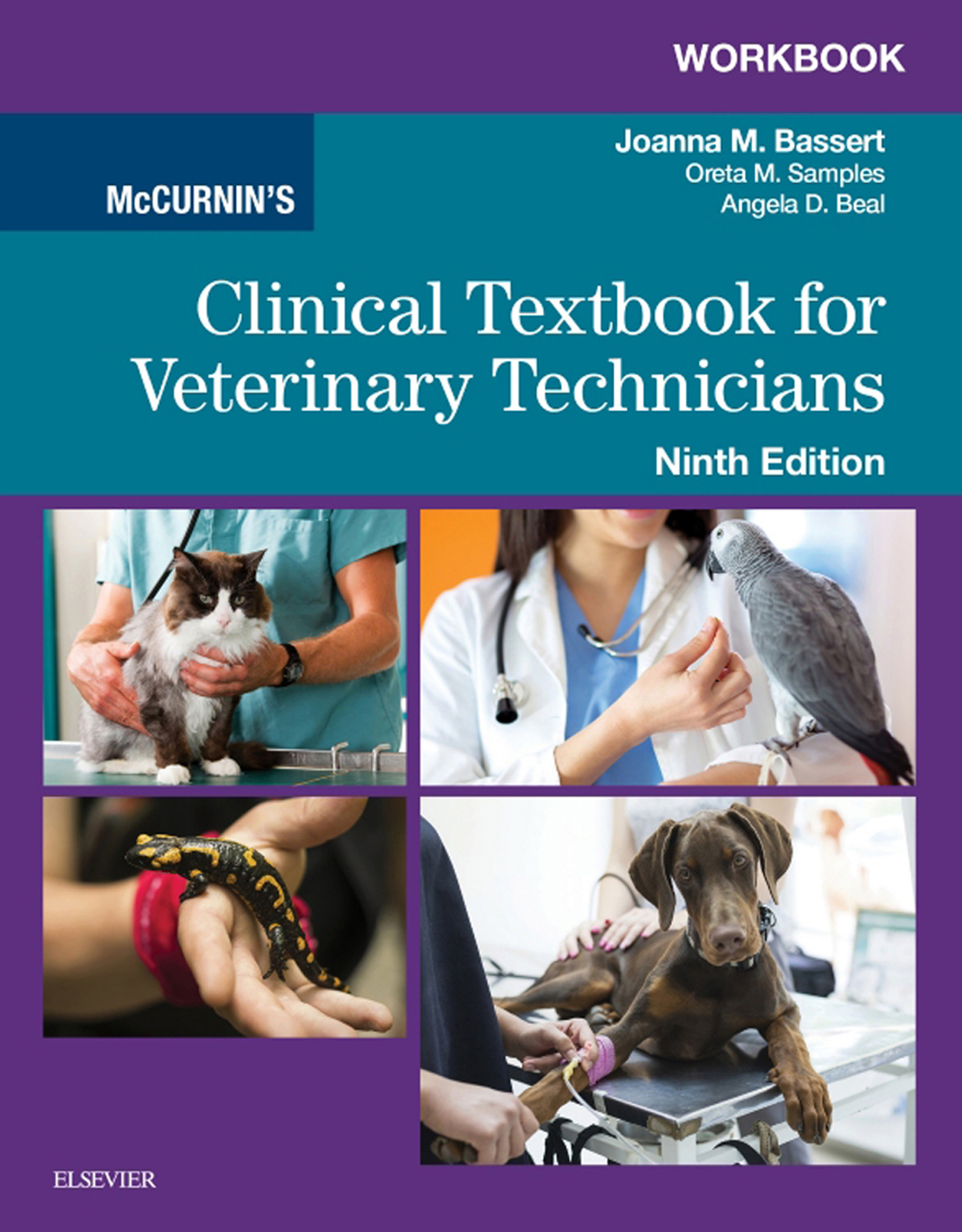 Workbook for McCurnin's Clinical Textbook for Veterinary Technicians ebook